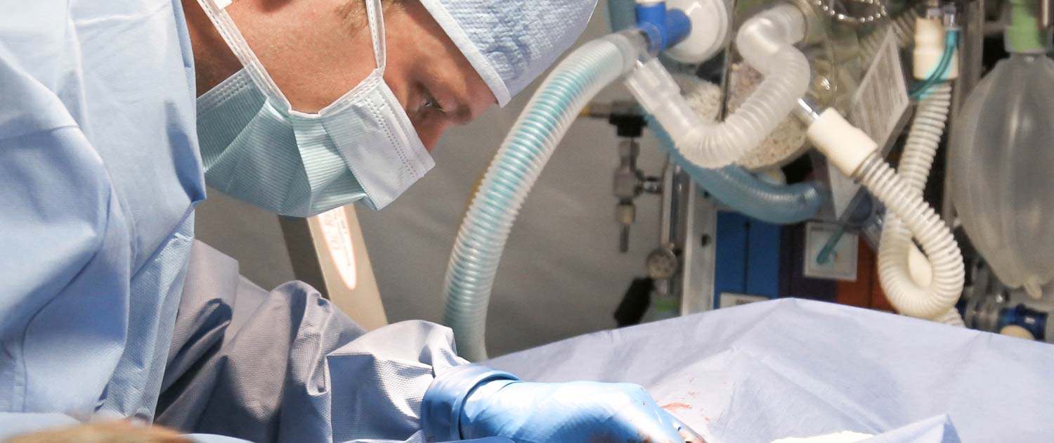 Phoenix Magazine Recognizes Top Arizona Doctors AZ Medical Group